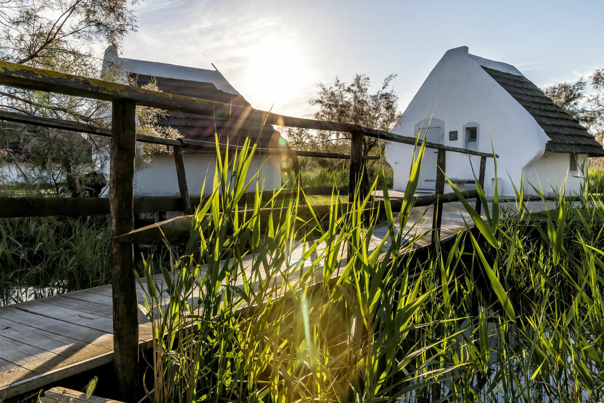Les Bains Gardians Hotel Saintes-Maries-de-la-Mer Exterior foto